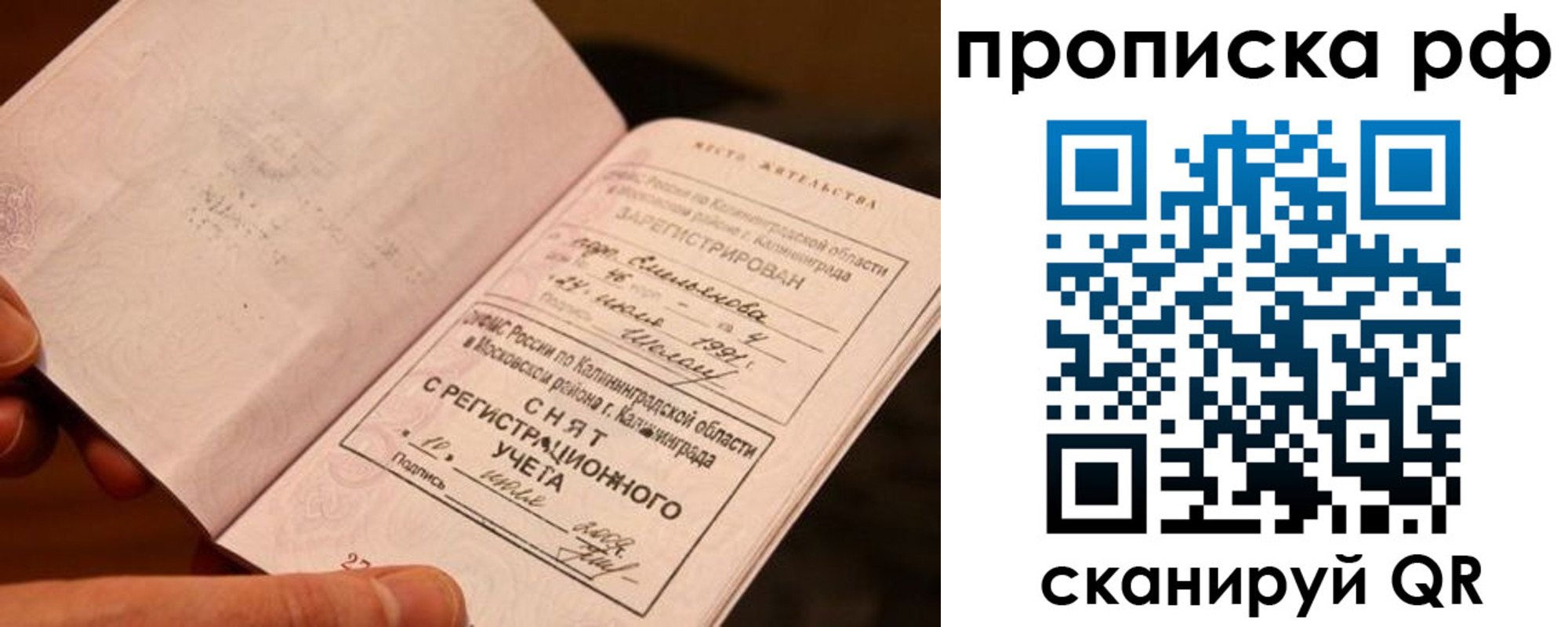 прописка гарантия в Саратове